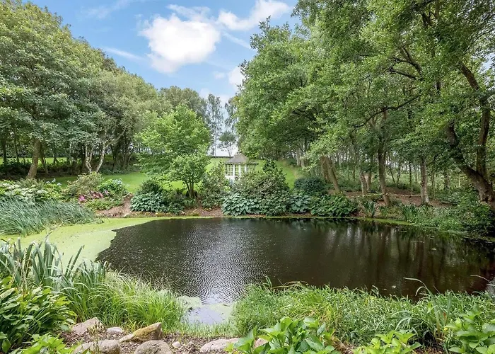 5 Star In Spottrup-by Traum